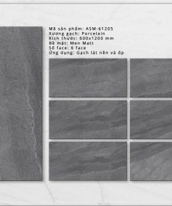Gạch ốp lát Viglacera 60x120 ASM 61205