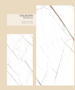 Gạch Ốp Lát Ấn Độ 80x160 Calacata Bianco