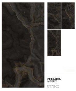 Gạch Ốp Lát Ấn Độ 80x160 Petracia Negro