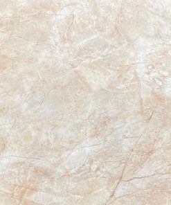 Gạch Ốp Lát 100x100cm Ấn Độ VG1155