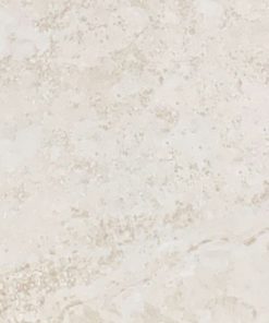 Gạch Ốp Lát 40x80 Trung Quốc ZB7861