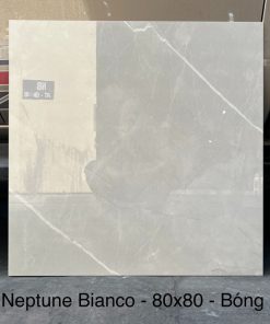 Gạch Ốp Lát 80x80cm Ấn Độ Neptune Bianco 2 Gạch Ốp Lát 80x80cm Ấn Độ Neptune Bianco