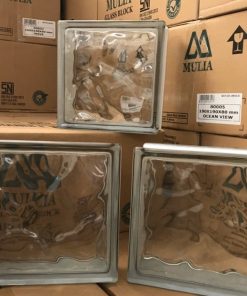 Gạch Kính Lấy Sáng Indonesia 19x19x8cm Trắng Sóng