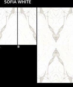 Gạch Ốp Lát Ấn Độ 60x120 Sofia White 1 Gạch Ốp Lát Ấn Độ 60x120 Sofia White