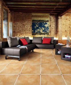 Gạch Ốp Lát 50x50 Trung Quốc 59002