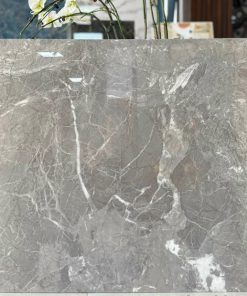 Gạch Ốp Lát 80x80 Viglacera C88SG906
