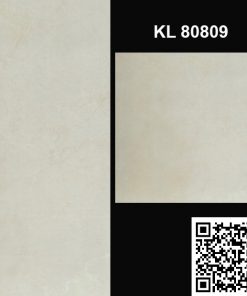 Gạch Ốp Lát Trung Quốc 80x80 KL80809