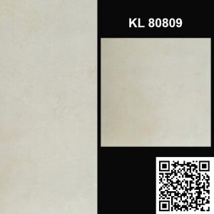 Gạch Ốp Lát Trung Quốc 80x80 KL80809