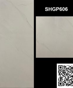 Gạch Ốp Lát 60x60 Viglacera SHGP606