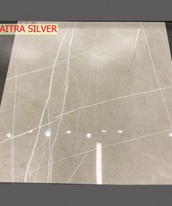 Gạch Ốp Lát 120x120cm Ấn Độ Paitra Silver