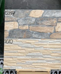 Gạch Trang Trí 30x60 Ấn Độ 1610