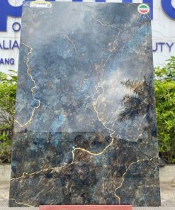 Gạch Ấn Độ Apodio 80x120 BL81814