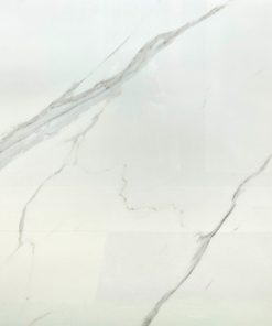 Gạch Ốp Lát Trung Quốc 100x100 107003