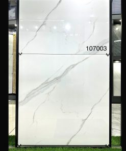 Gạch Ốp Lát Trung Quốc 100x100 107003