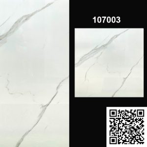 Gạch Ốp Lát Trung Quốc 100x100 107003