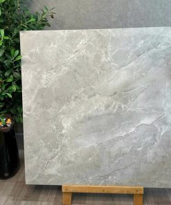 Gạch Ốp Lát Trung Quốc 100x100 9K016