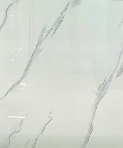 Gạch Ốp Lát Trung Quốc 100x100 9K1011