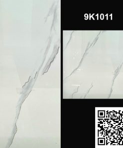 Gạch Ốp Lát Trung Quốc 100x100 9K1011