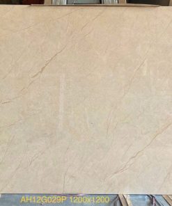 Gạch Ốp Lát Trung Quốc 120x120 AH12G029P