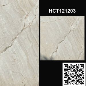 Gạch Ốp Lát Trung Quốc 120x120 HCT121203
