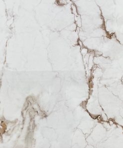 Gạch Ấn Độ Apodio 80x120 Apodio 02