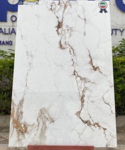 Gạch Ấn Độ Apodio 80x120 Apodio 02