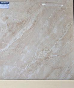 Gạch Ốp Lát 60x60 Viglacera KHPGP6806