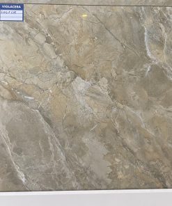 Gạch Ốp Lát 60x60 Viglacera SHGP608