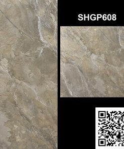 Gạch Ốp Lát 60x60 Viglacera SHGP608