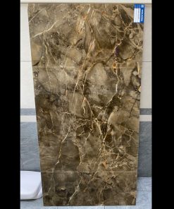 Gạch Ốp Lát 60x120 Viglacera ECOP61204