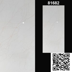 Gạch Ốp Lát 80x160cm Ấn Độ 81682