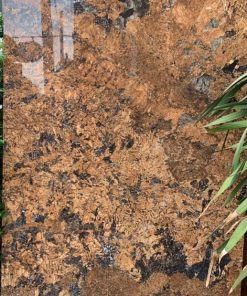 Gạch Ốp Lát 80x160cm Ấn Độ 8163007