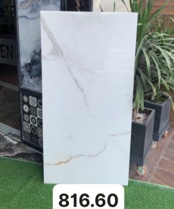 Gạch Ốp Lát 80x160cm Ấn Độ 81660