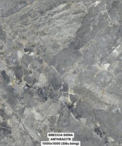 Gạch Ốp Lát 100x100cm Ấn Độ Breccia Siena Anthracite