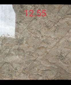 Gạch Ốp Lát 120x120cm Ấn Độ 1255