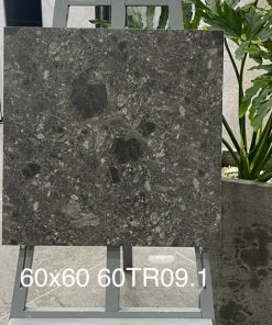 Gạch Ốp Lát Trung Quốc 60x60cm 60TR09