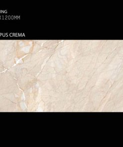 Gạch Ốp Lát 60x120cm Ấn Độ Campus Crema