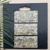 Gạch Thẻ Trang Trí 150x300mm Việt Nam DT233
