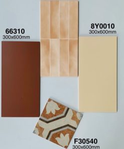 Gạch Ốp Lát Trung Quốc 30x60cm 66310 9