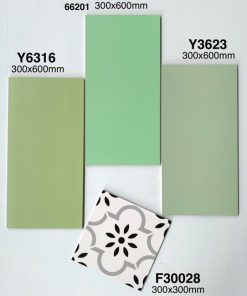 Gạch Ốp Lát Trung Quốc 30x60cm 66201 5