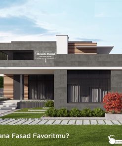 Gạch Ốp Lát INDO 60x120cm 62003 4