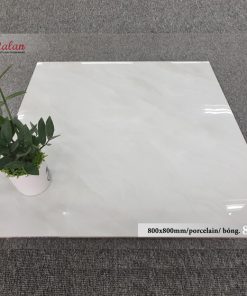 Gạch Ốp Lát 80x80 Catalan 8064