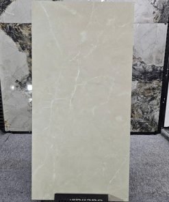 Gạch Ốp Lát 60x120cm Ấn Độ 12214R