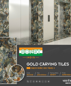 Gạch Ốp Lát 60x120cm Ấn Độ SK61212D 1