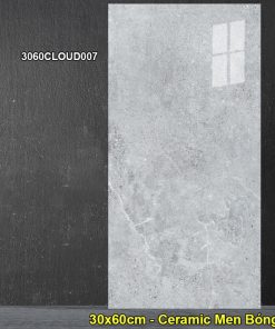 3060CLOUD007