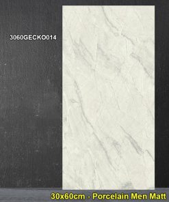 Gạch Ốp Lát 30x60cm Đồng Tâm 3060GECKO014