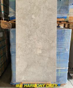 Gạch Ốp Lát 60x120cm Ấn Độ Harmony Grey