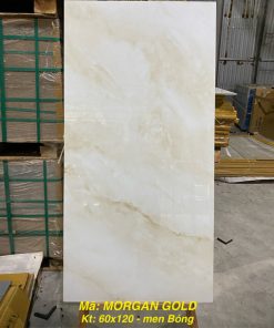 Gạch Ốp Lát 60x120cm Ấn Độ Morgan Gold