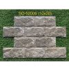 Gạch thẻ ngoại thất KT 10x20cm SO-52006