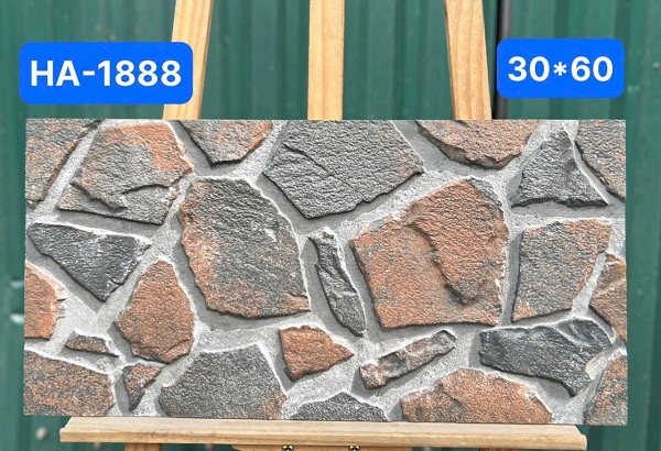 Gạch Ốp Lát 30x60cm Ấn Độ HA-1888 2 Gạch Ốp Lát 30x60cm Ấn Độ HA-1888 1